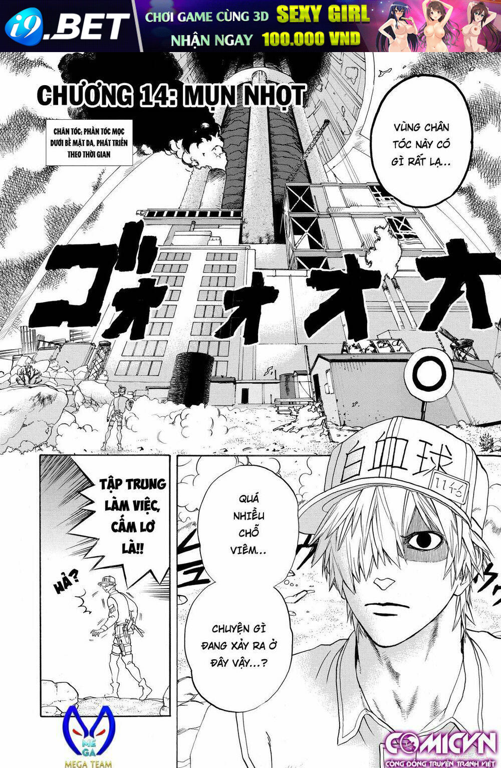 Hataraku Saibou ! Chương 14 Ảnh 3