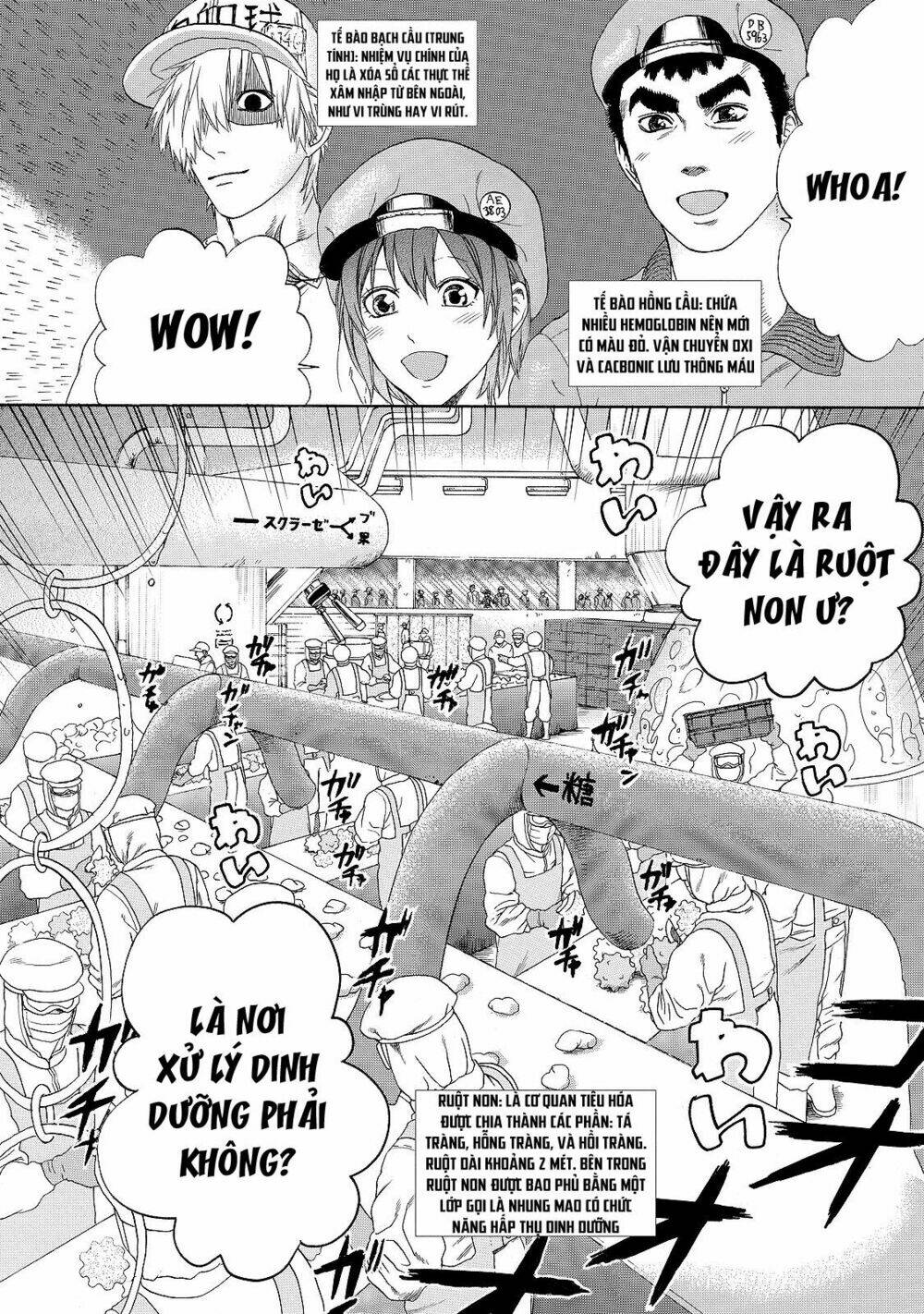 Hataraku Saibou ! Chương 19 Ảnh 3