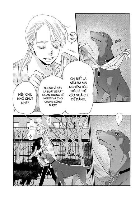 Koisuru Moon Dog Chương 1 Ảnh 17