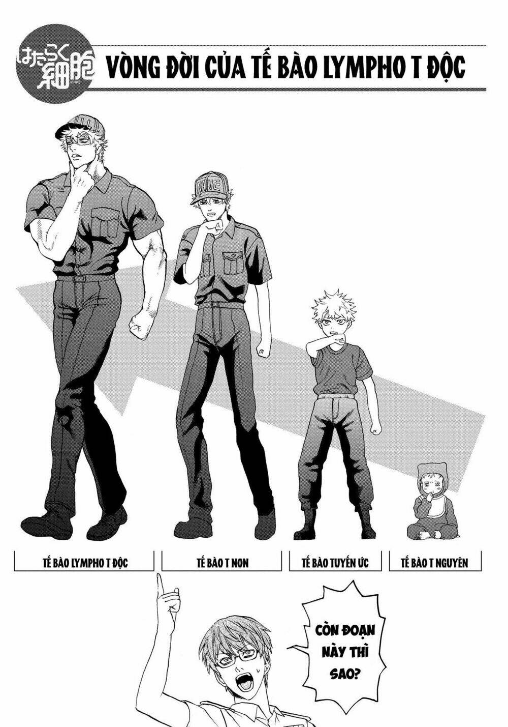 Hataraku Saibou ! Chương 12 Ảnh 36