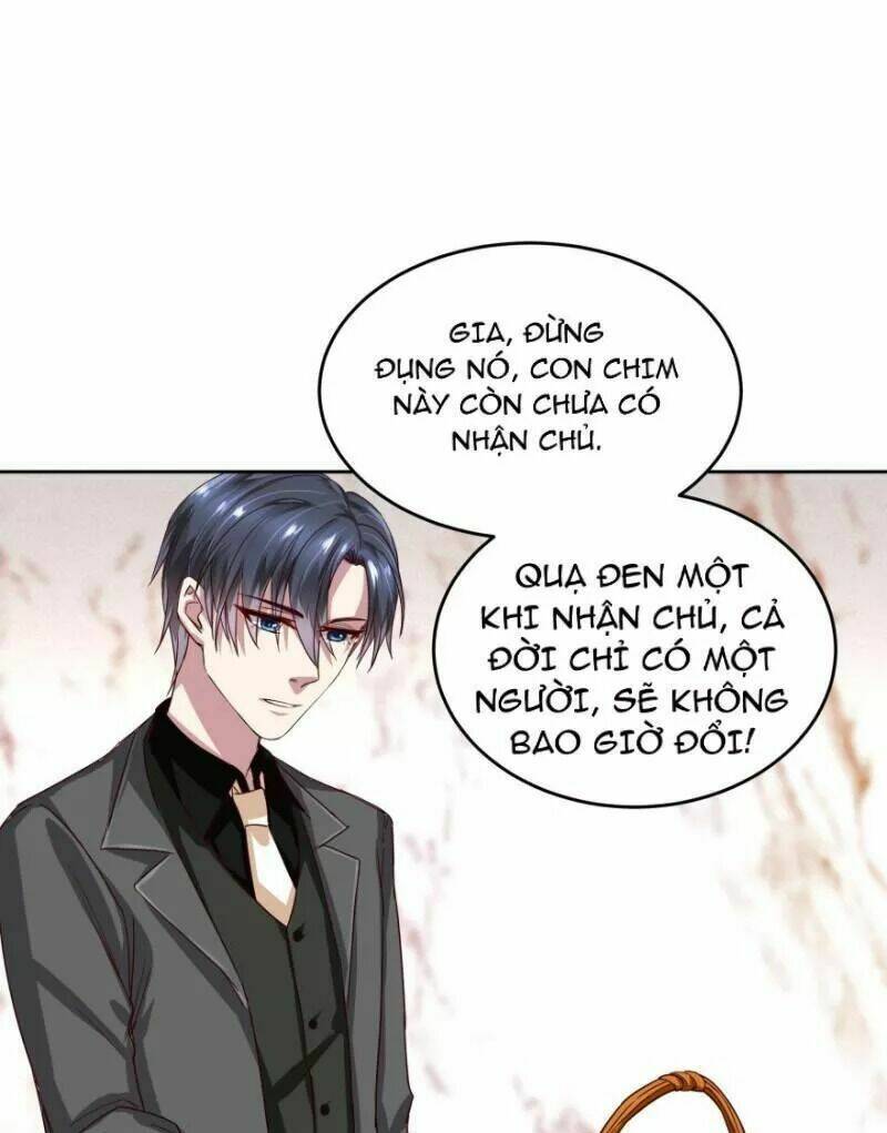 Mộ Thiếu, Lão Bà Ngươi Trọng Sinh Lại Rồi! Chương 50 Ảnh 13