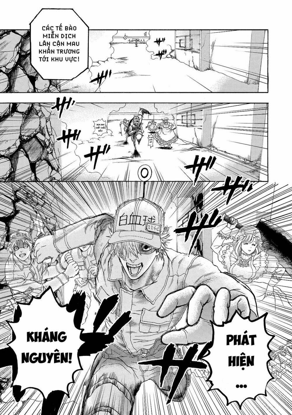 Hataraku Saibou ! Chương 16 Ảnh 26