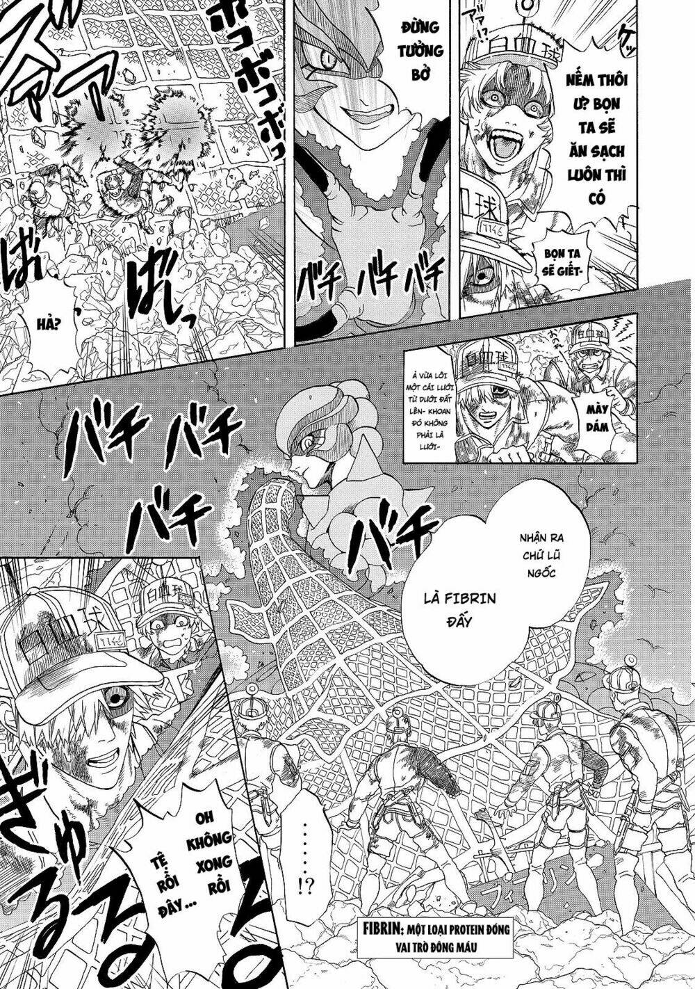 Hataraku Saibou ! Chương 15 Ảnh 15