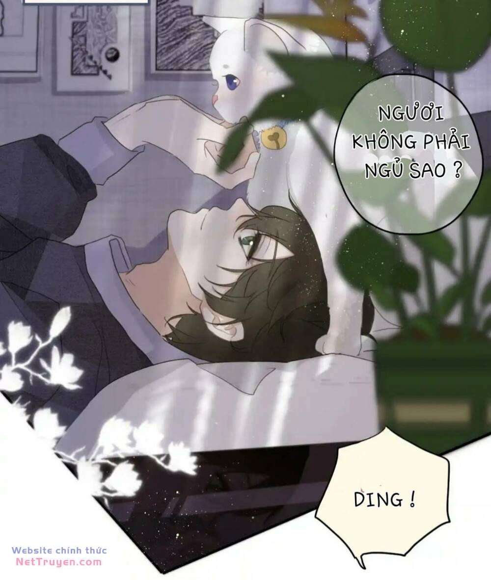 Ghi Chú Hoa Anh Đào Chương 3 Ảnh 16
