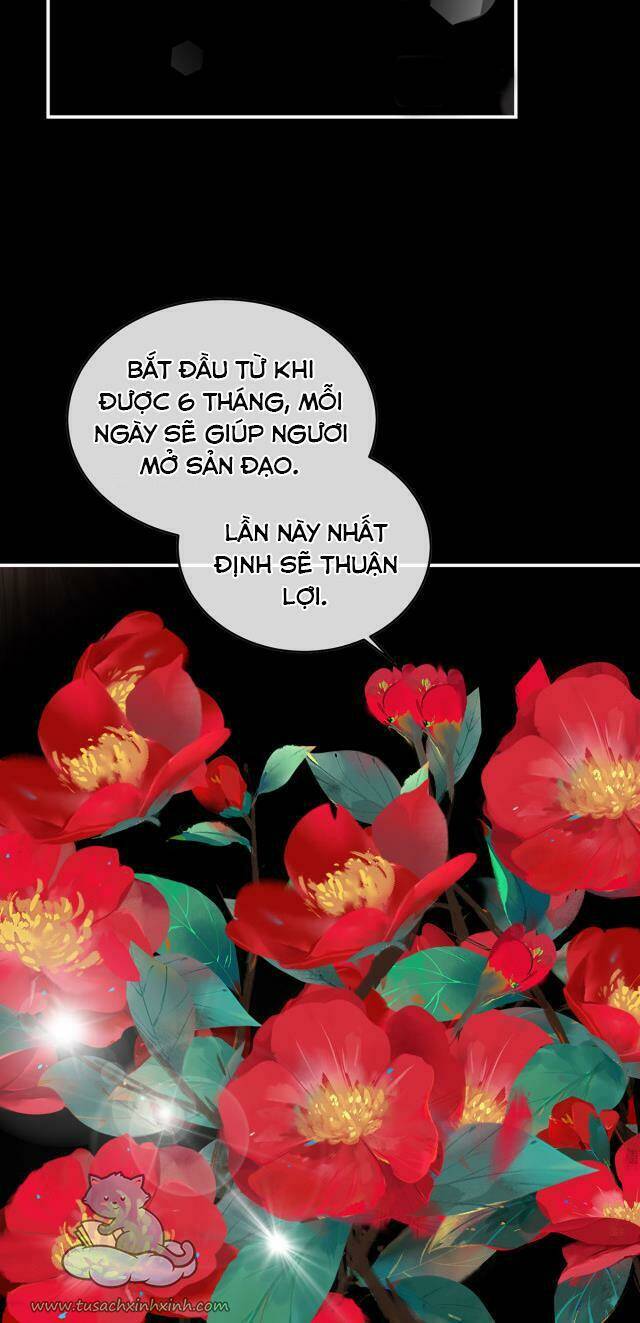 Kiều Phu Có Hỉ Chương 53 Ảnh 32