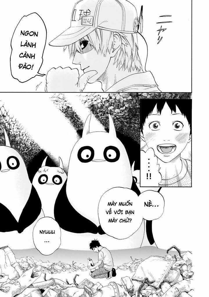 Hataraku Saibou ! Chương 20 Ảnh 43