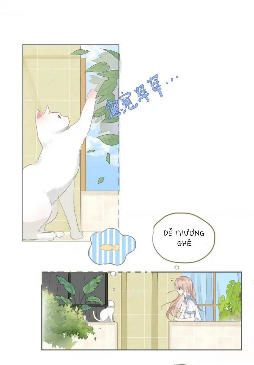 Ghi Chú Hoa Anh Đào Chương 2 Ảnh 8