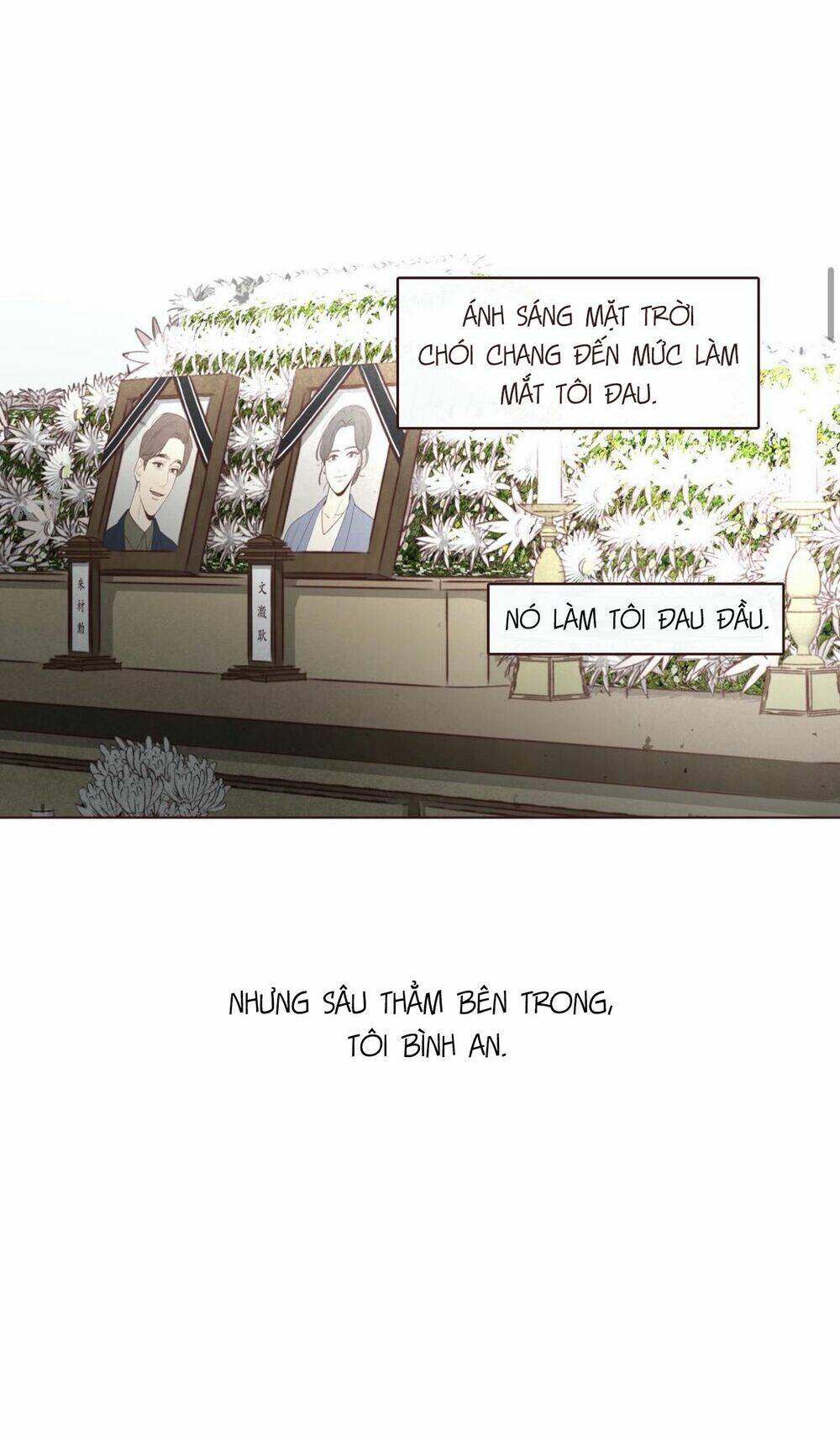 Vận Mệnh Không Mắc Sai Lầm Chương 38 Ảnh 8