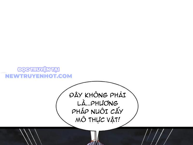 Thổ Lộ Với Mỹ Nữ Tông Chủ Xong, Ta Vô Địch Rồi? Chương 81 Ảnh 30