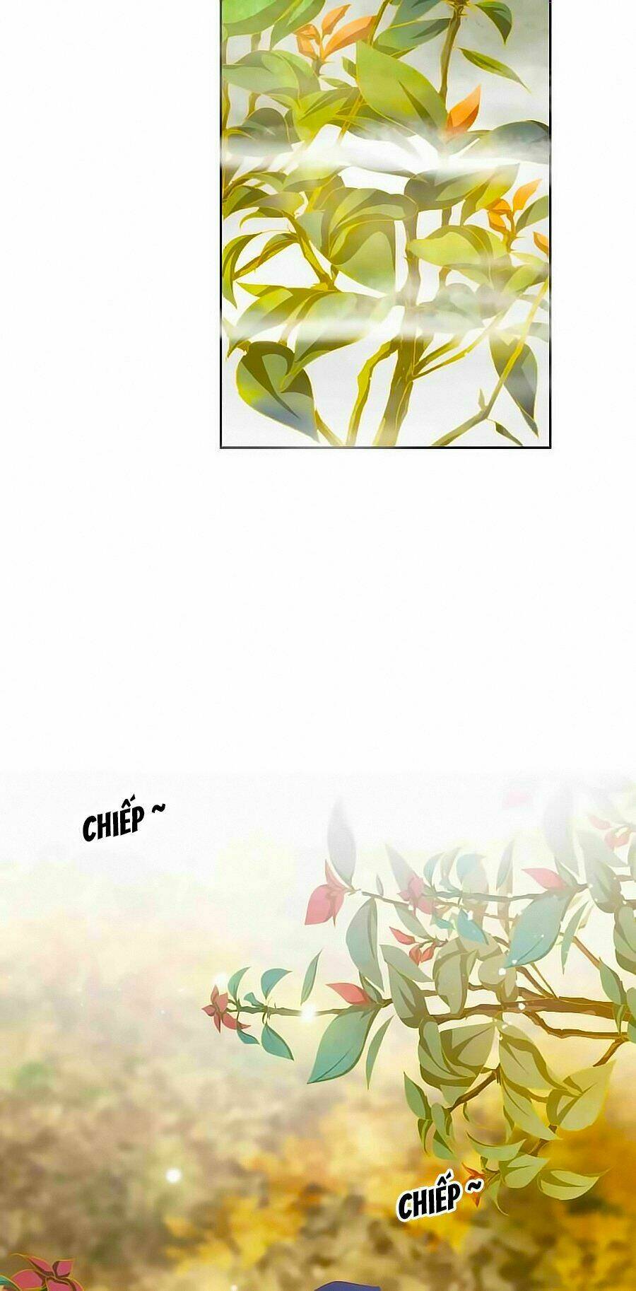 Tưởng Nhập Phi Phi Chương 52 Ảnh 26