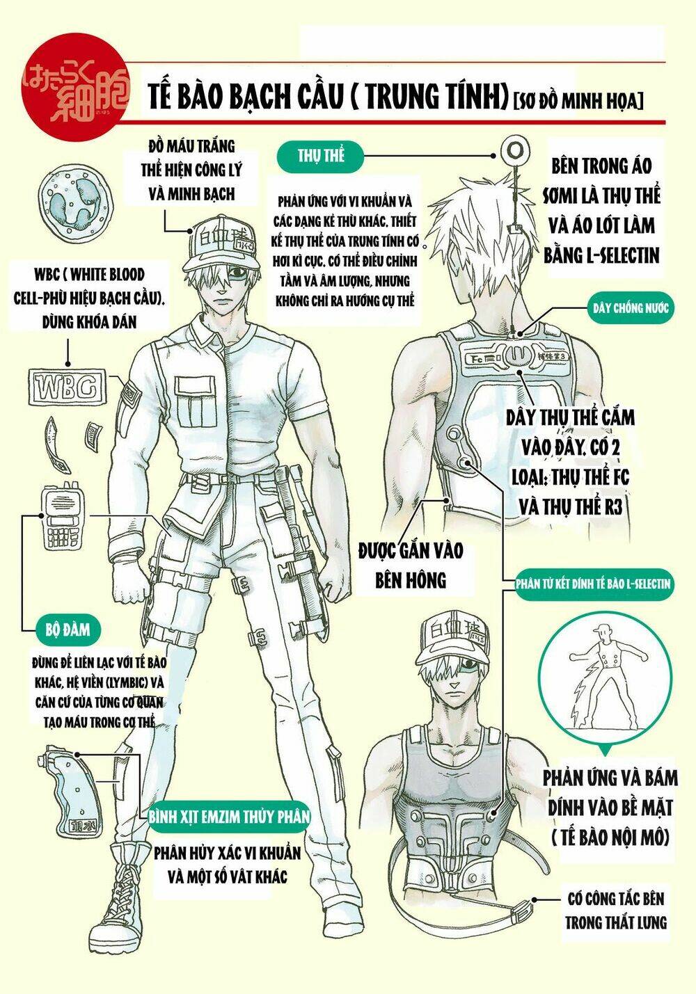 Hataraku Saibou ! Chương 14 Ảnh 34