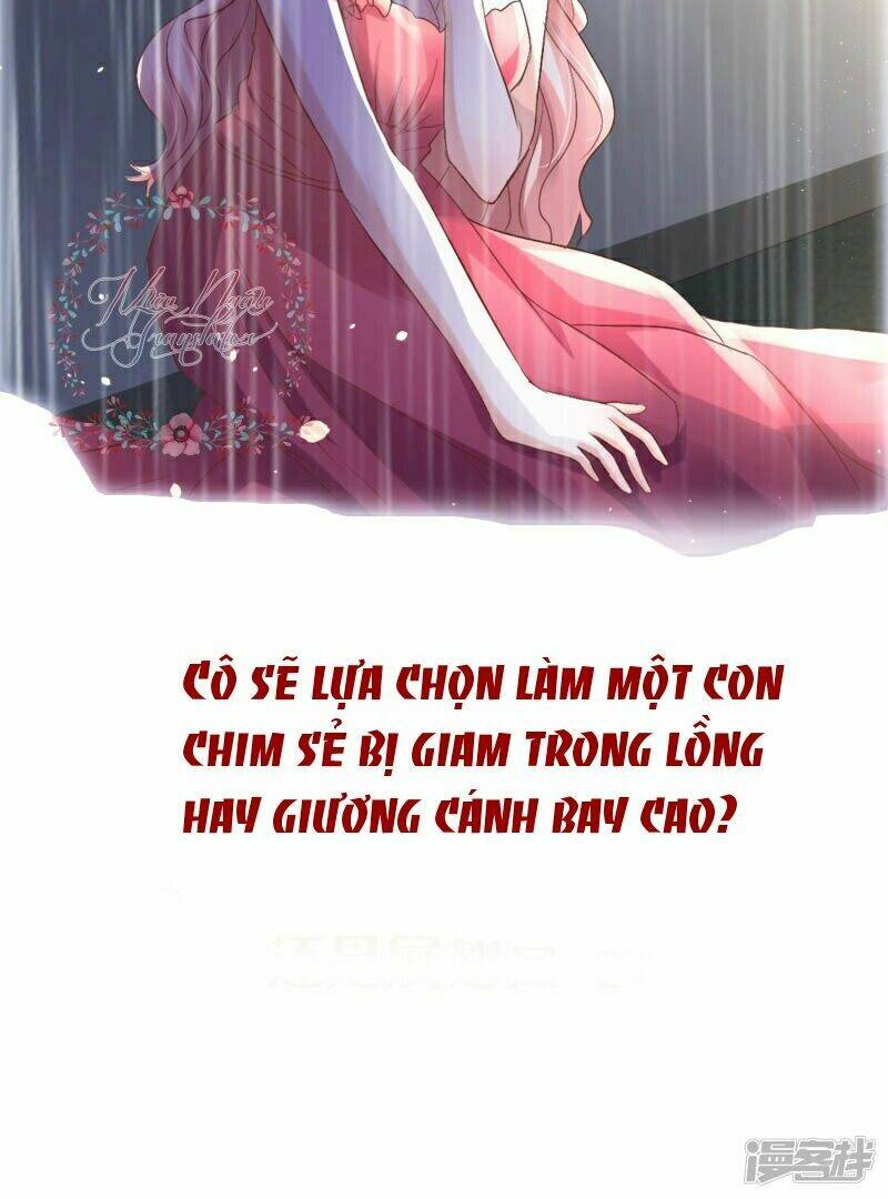 Cô Vợ Nhỏ Bị Mù Của Hàn Thiếu Chương 0 Ảnh 9