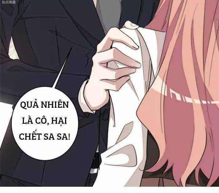 Trọng Sinh Noãn Hôn Khinh Sủng Thê Chương 19 Ảnh 21