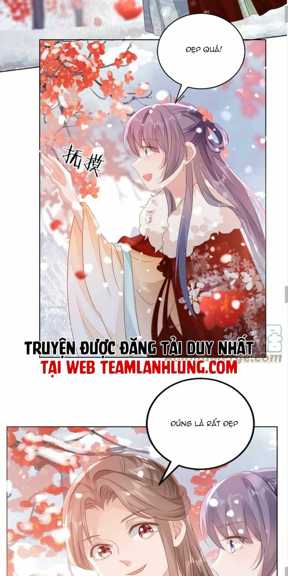 Mau Xuyên Không Rửa Tội Cho Nhân Vật Phản Diện Chương 136 Ảnh 17
