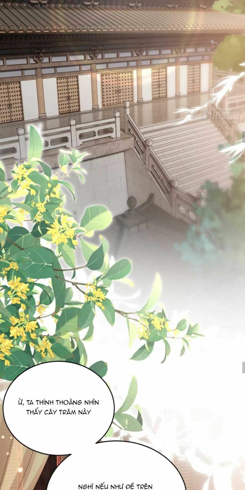Mau Xuyên Không Rửa Tội Cho Nhân Vật Phản Diện Chương 139 Ảnh 35