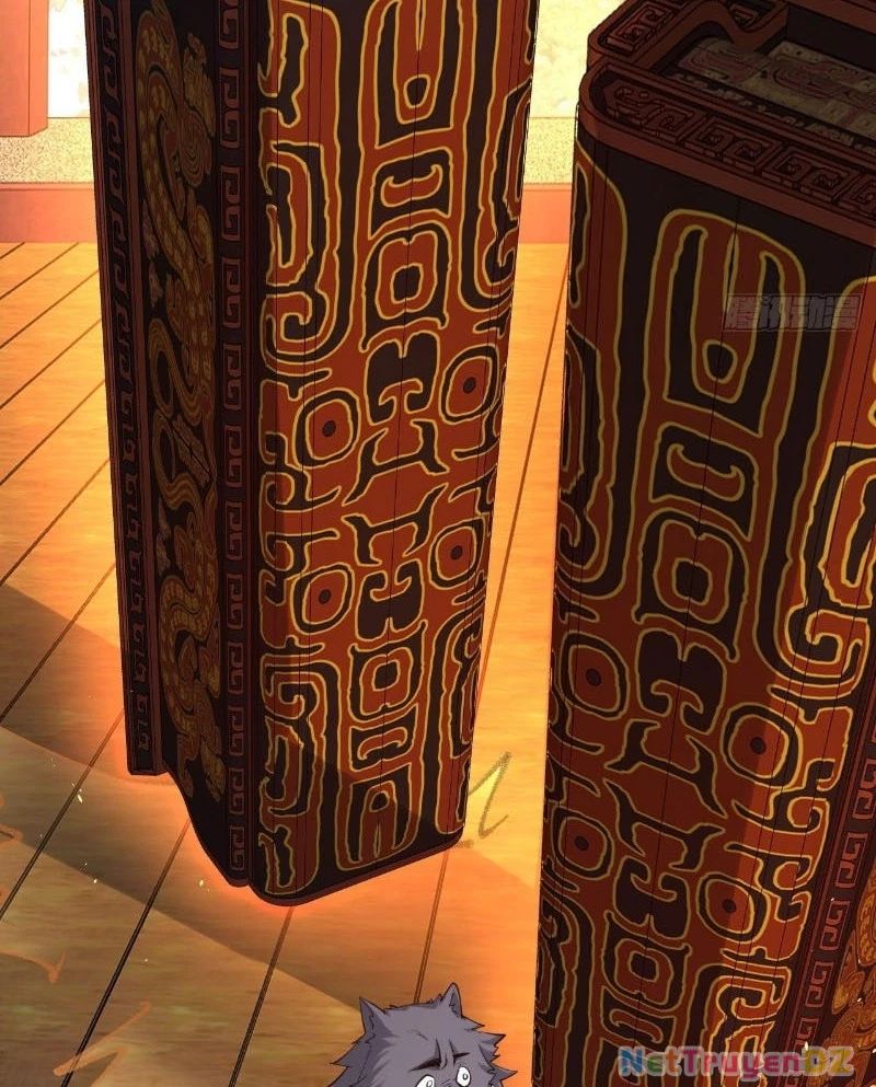 Đệ Tử Siêu Thần Ta Nằm Không, Tông Môn Hủy Diệt Ta Vô Địch Chương 50 Ảnh 6