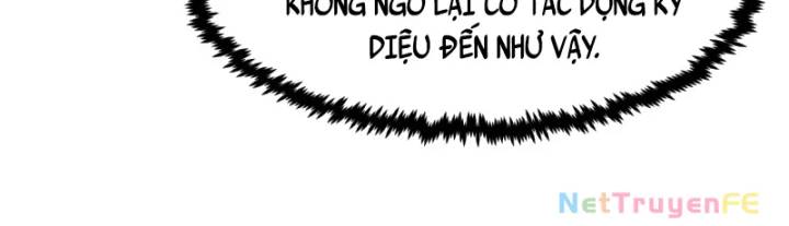 Hỗn Độn Đan Thần Chương 493 Ảnh 35