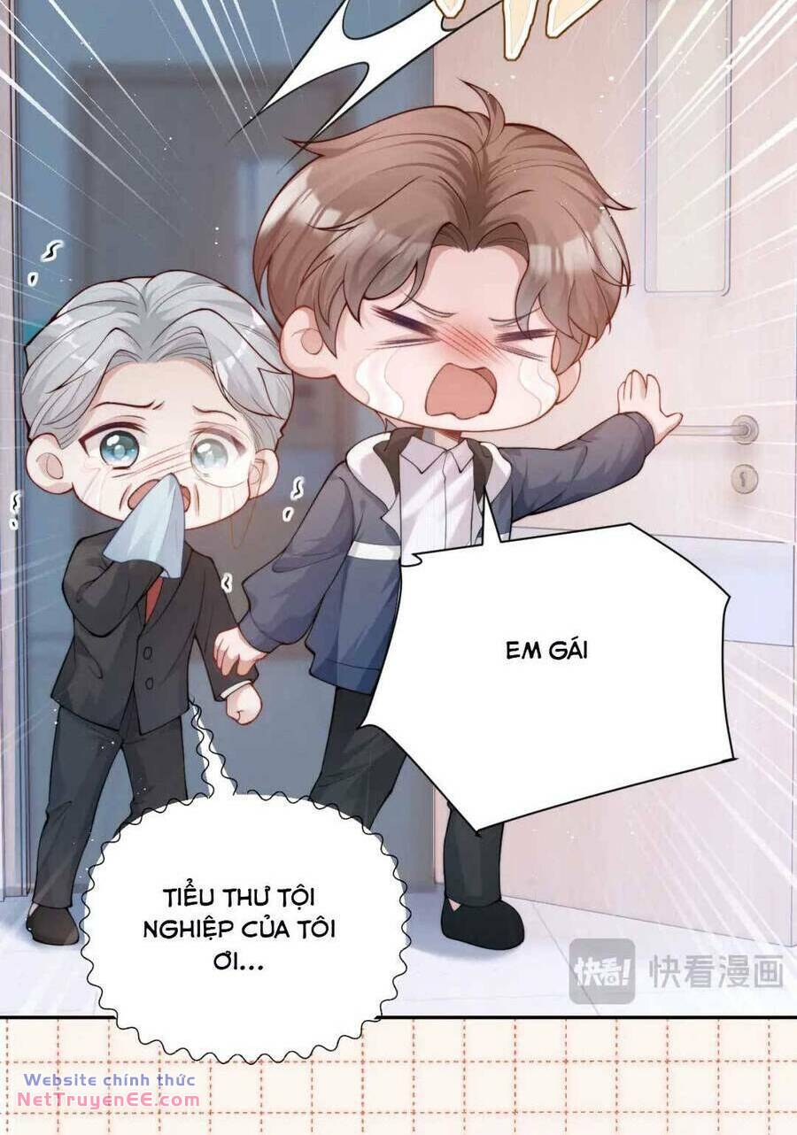 Đại Tiểu Thư Giàu Có Tận Tay Xé Kịch Bản Bạch Nguyệt Quang Chương 14 Ảnh 13