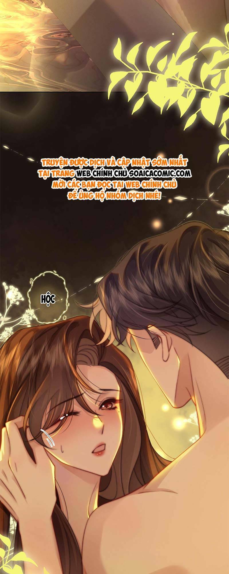 Yêu Lại Sau Một Đêm Bên Nhau Chương 33 Ảnh 19