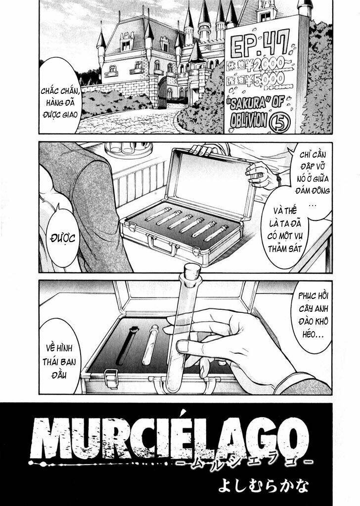 Murcielago Chương 47 Ảnh 4