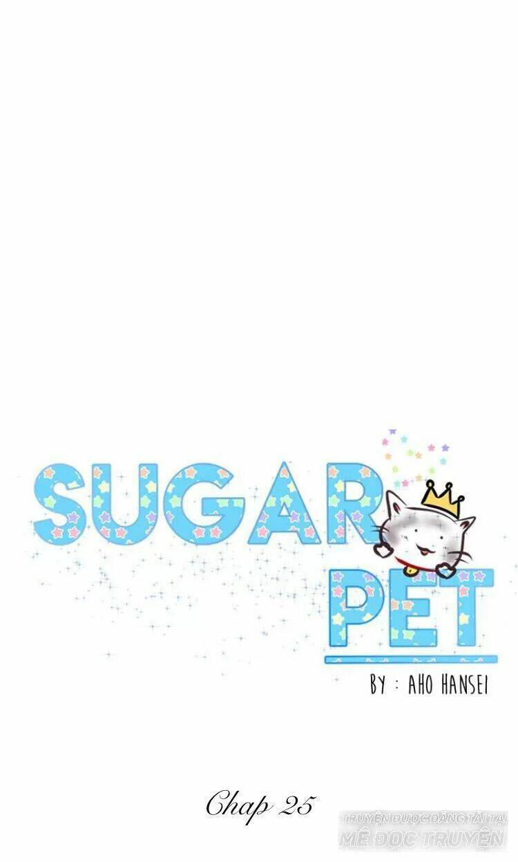 Sugar Pet Chương 25 Ảnh 12