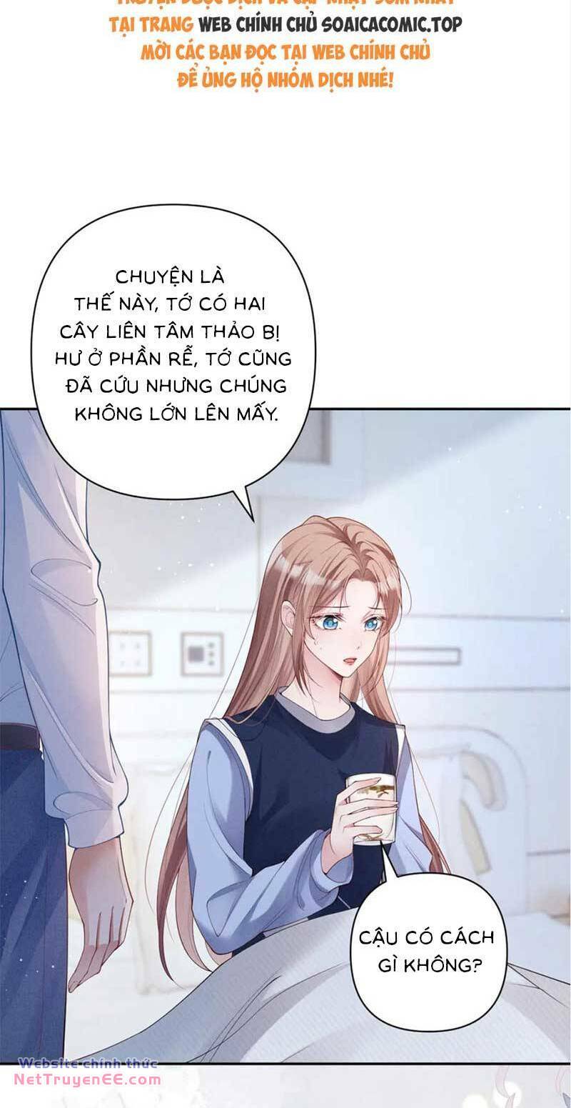 Đại Tiểu Thư Giàu Có Tận Tay Xé Kịch Bản Bạch Nguyệt Quang Chương 15 Ảnh 18
