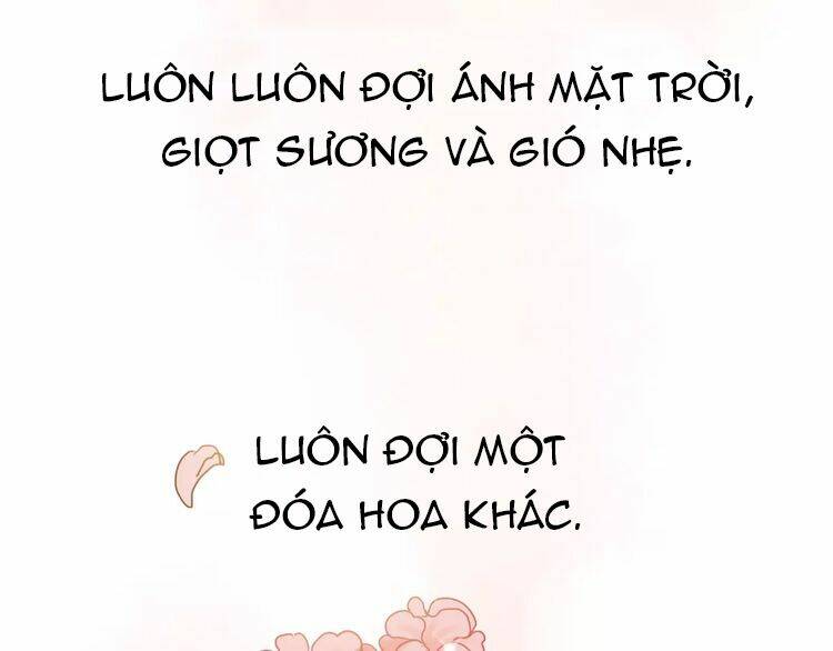 Hướng Tới Ánh Mặt Trời Chương 81 Ảnh 27