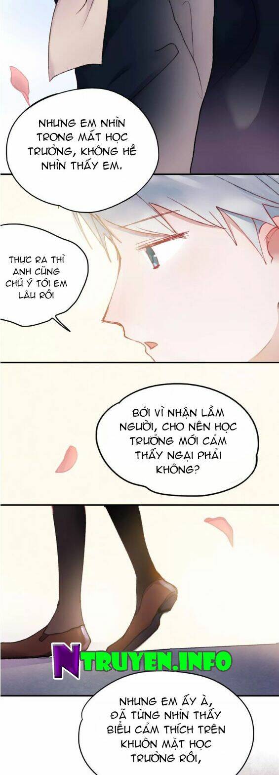 Hướng Tới Ánh Mặt Trời Chương 71 Ảnh 13