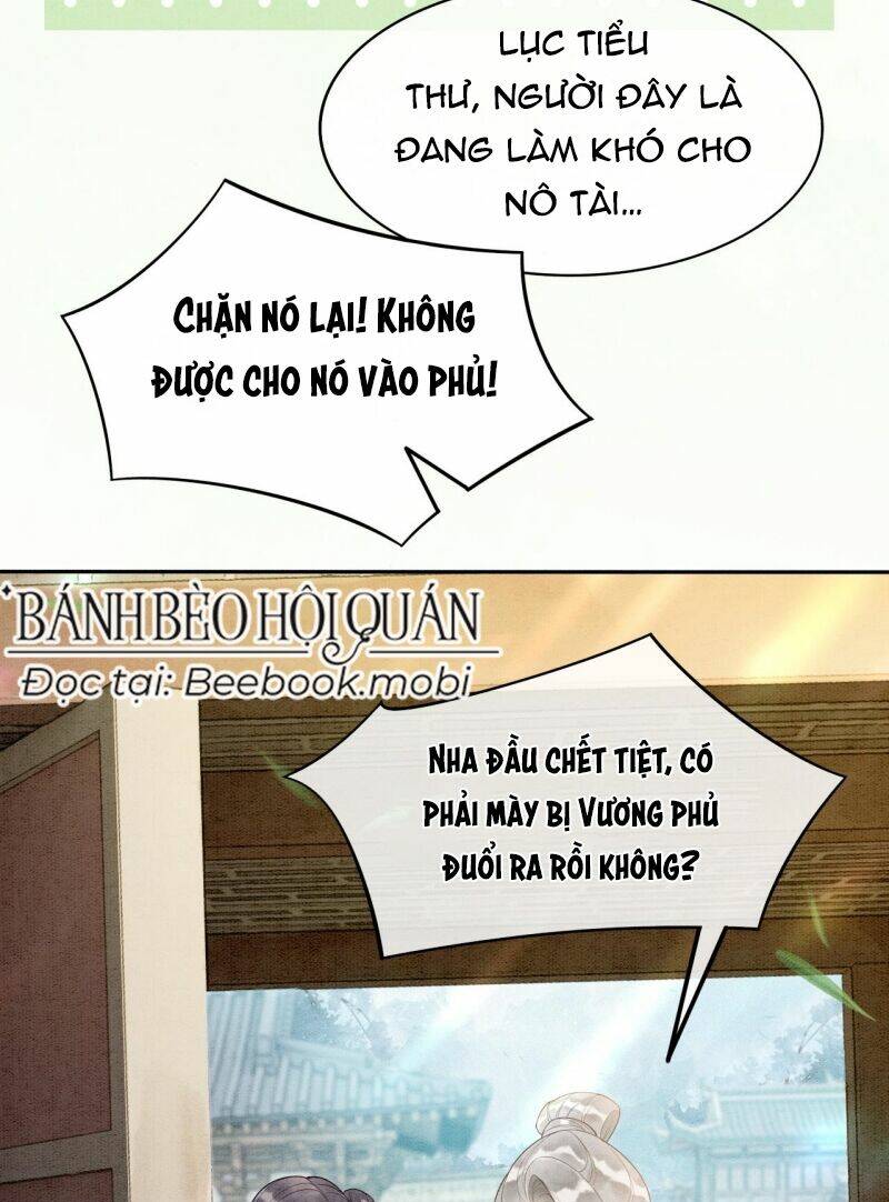 Sau Khi Nàng Bị Đánh Chết, Các Anh Trai Đều Hối Hận! Chương 3 Ảnh 16