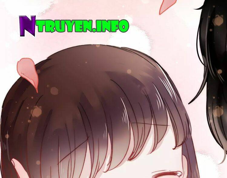 Hướng Tới Ánh Mặt Trời Chương 76 Ảnh 41