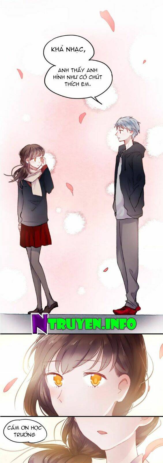 Hướng Tới Ánh Mặt Trời Chương 71 Ảnh 11