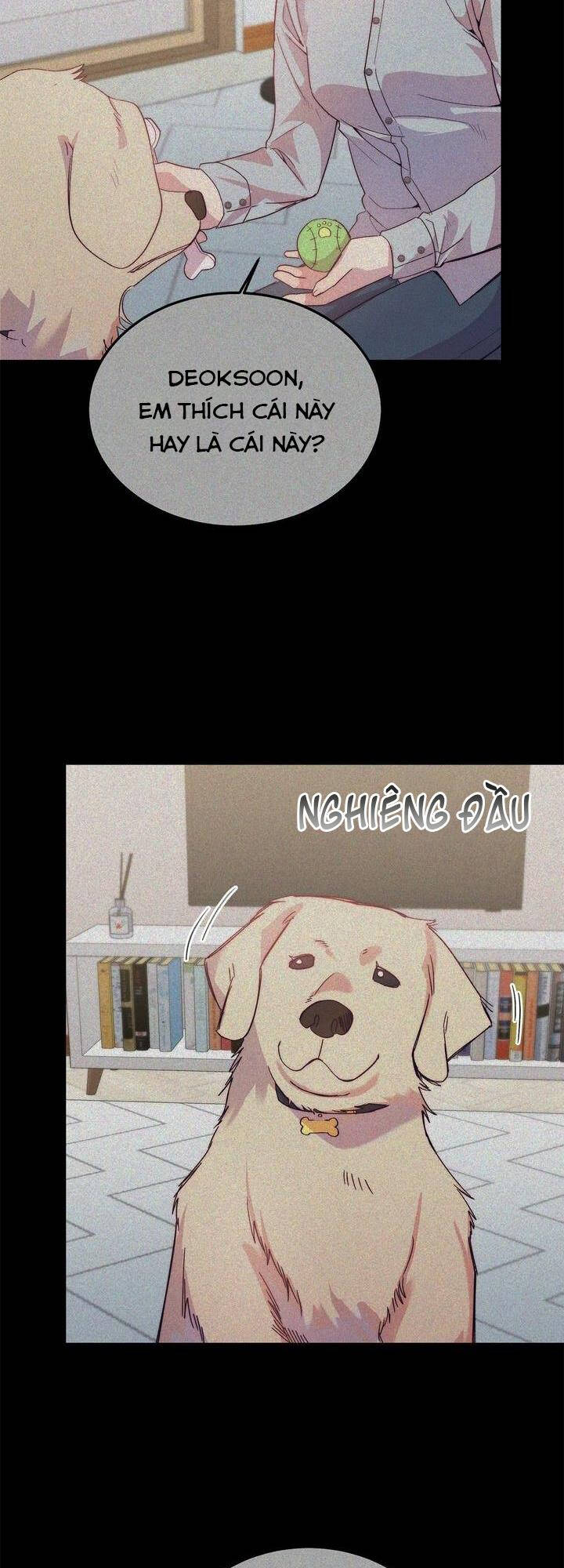 Cách Để Trao Vương Miện Cho Vị Hoàng Tử Hoang Dã Của Tôi. Chương 17 Ảnh 40