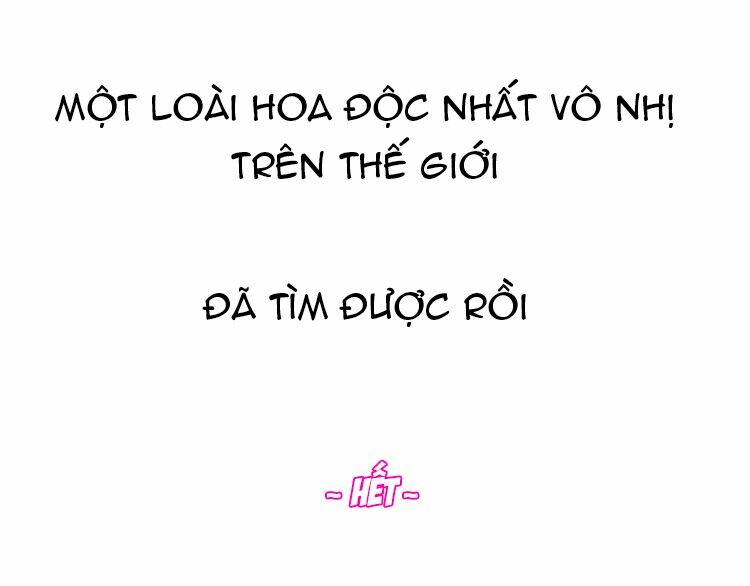 Hướng Tới Ánh Mặt Trời Chương 87 Ảnh 68