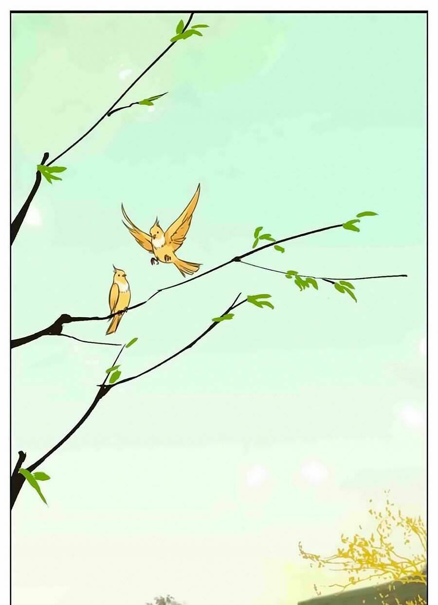 Thịnh Thế Thanh Ca Chương 7 Ảnh 2