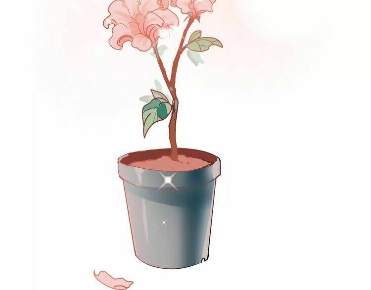 Hướng Tới Ánh Mặt Trời Chương 81 Ảnh 28