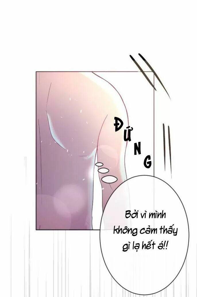 Sugar Pet Chương 27 Ảnh 5
