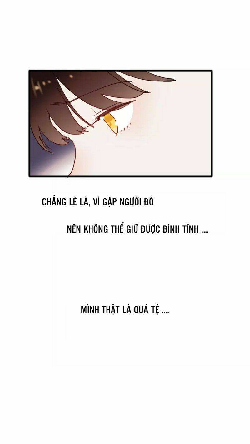 Hướng Tới Ánh Mặt Trời Chương 64 Ảnh 4