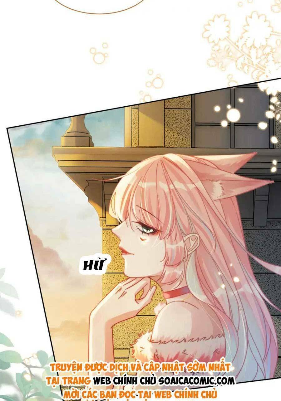 Xuyên Nhanh Nữ Phụ Bình Tĩnh Chút Chương 175 Ảnh 23