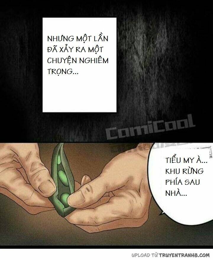 Bức Tường Cũ Chương 1 Ảnh 23
