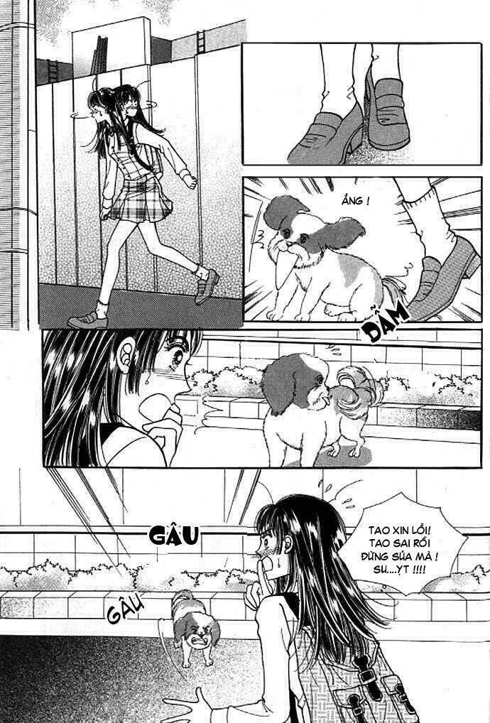 Cutie Boy Chương 10 Ảnh 20