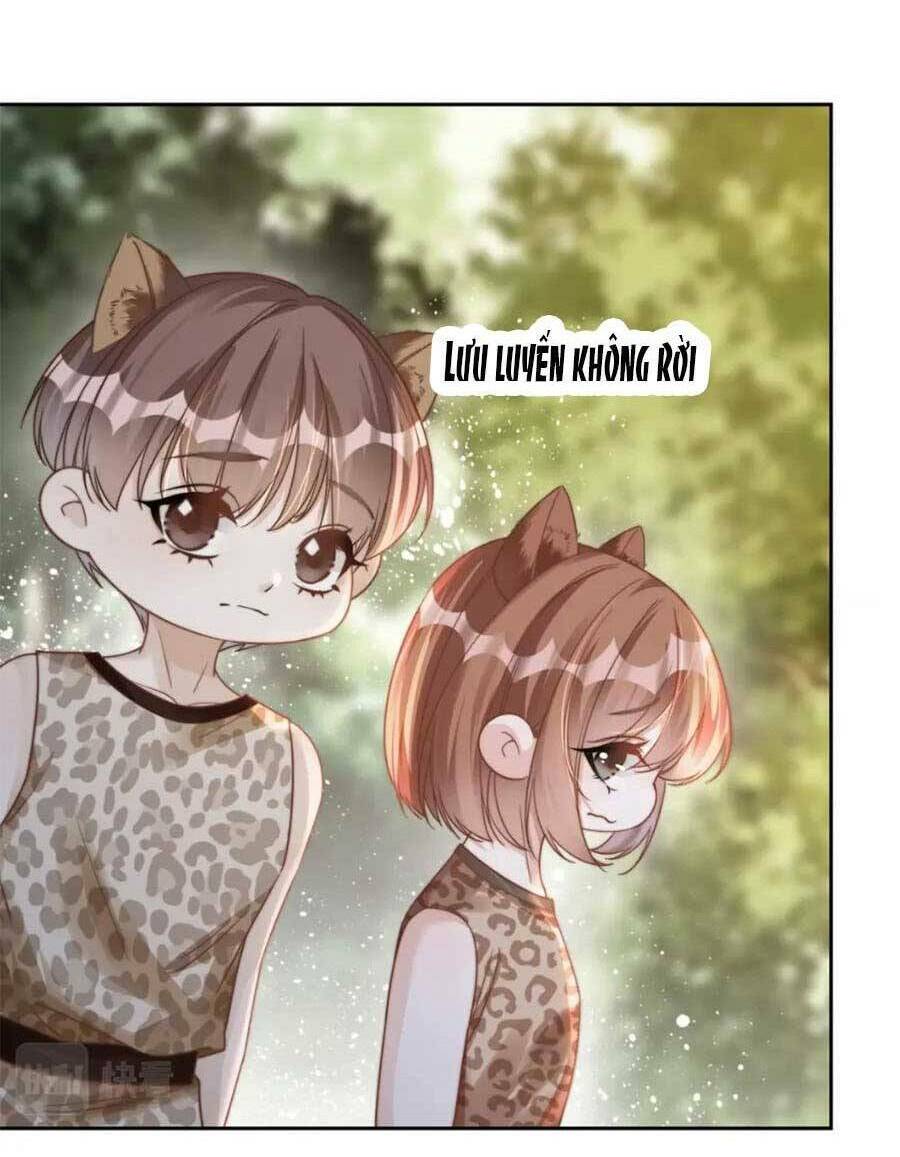 Xuyên Nhanh Nữ Phụ Bình Tĩnh Chút Chương 175 Ảnh 7