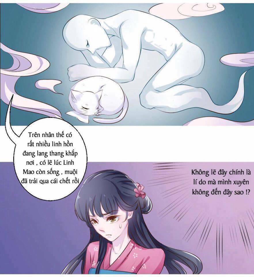 Hoàng Thái Tử, Xin Nhận Nuôi Em! Chương 16 Ảnh 8
