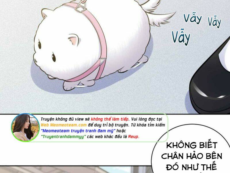Cha Vợ Đại Nhân Là Bà Xã Chương 162 Ảnh 29