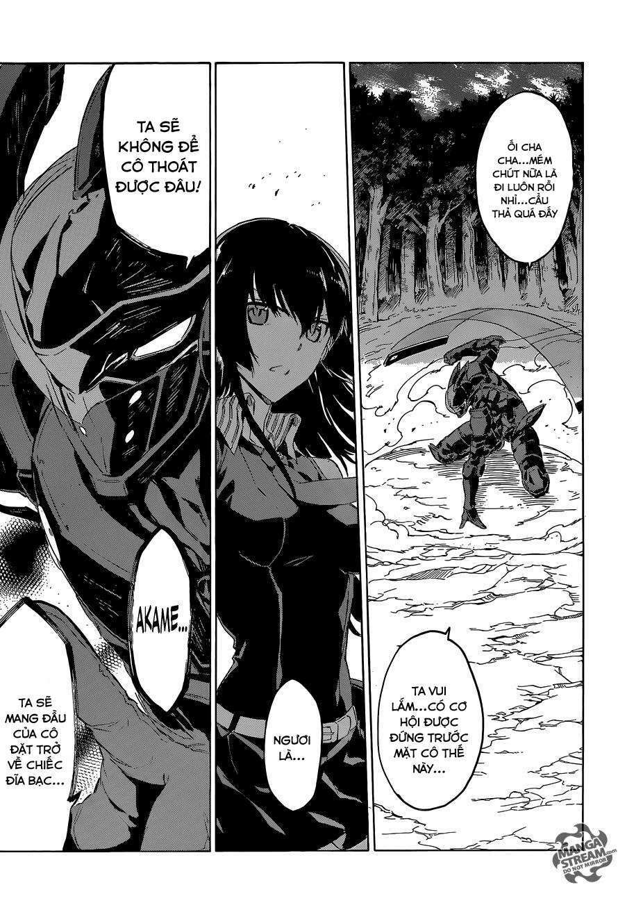 Akame Ga Kiru! Chương 61 Ảnh 37