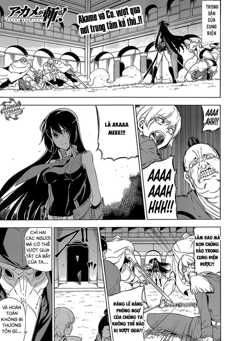 Akame Ga Kiru! Chương 70 Ảnh 3
