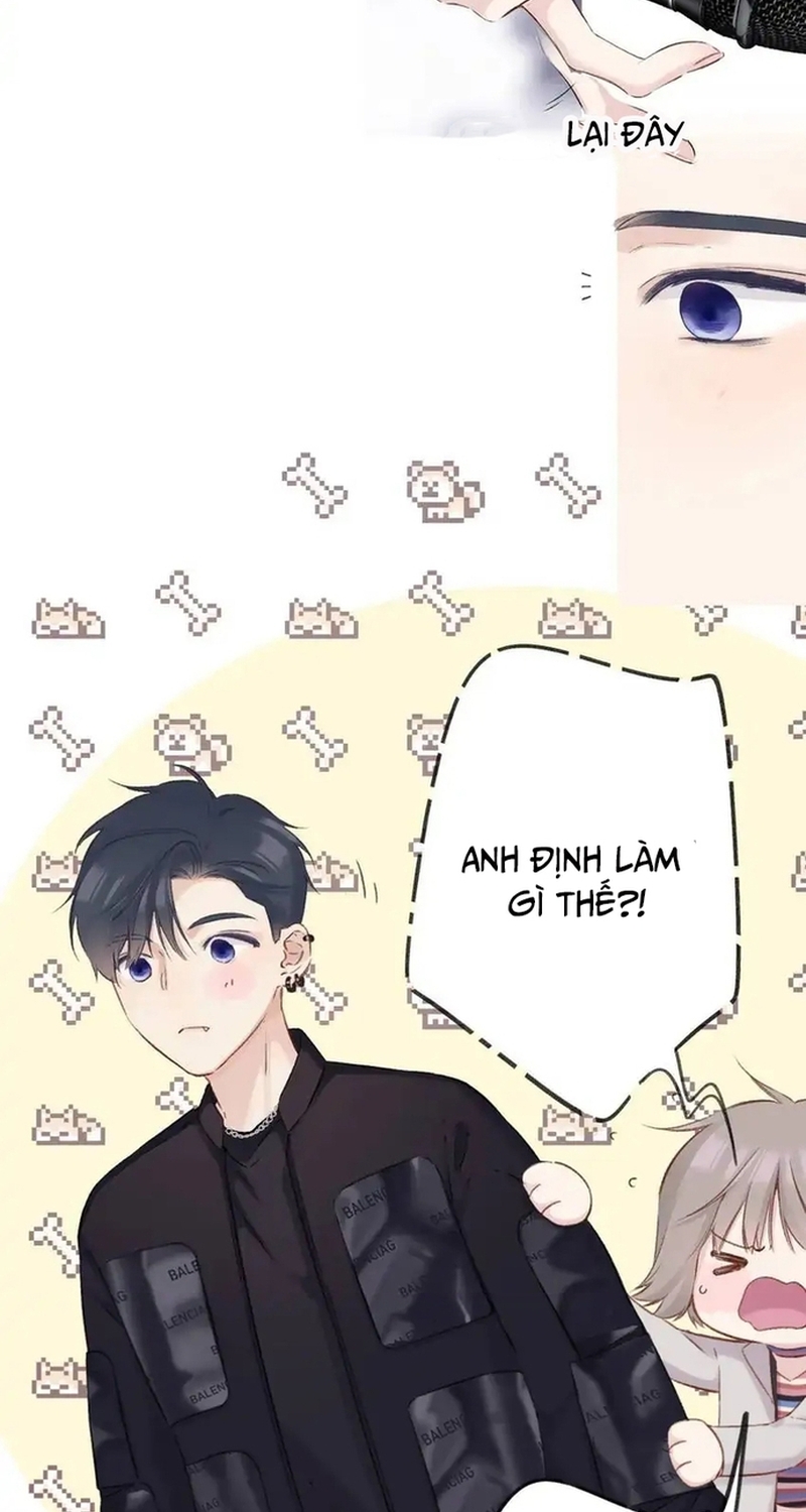 Bảo Vệ Siêu Sao Của Tôi Chương 147 Ảnh 17
