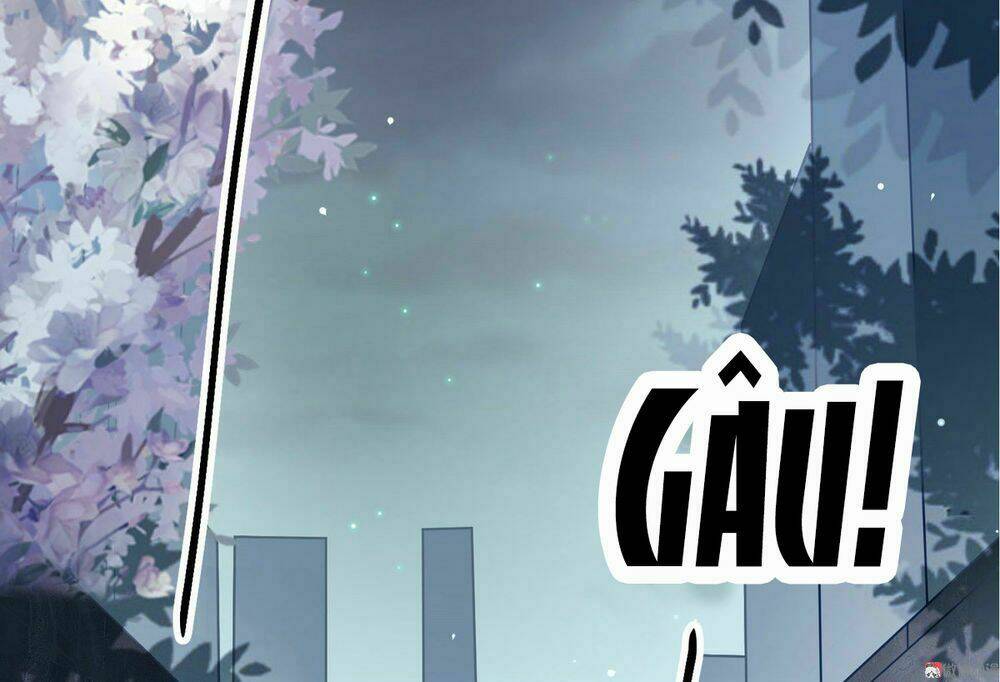 Tiểu Thịt Tươi, Đừng Chạy Chương 0 Ảnh 18