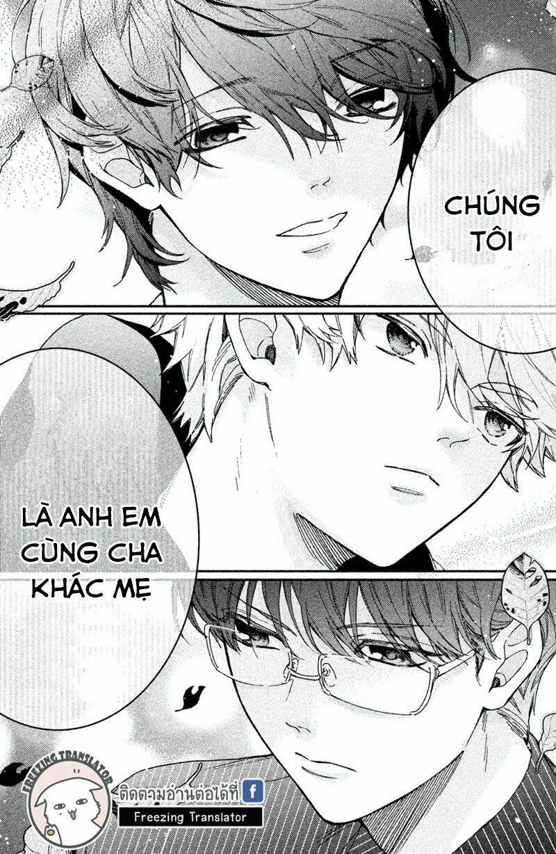 Gokutsuma Days: Gokudou Sankyoudai Ni Semaretemasu Chương 7 Ảnh 37