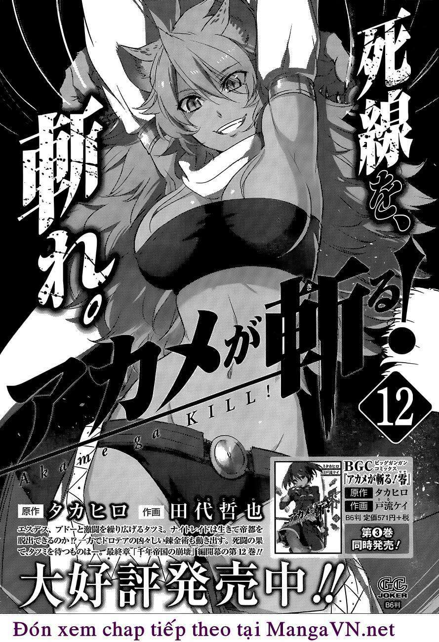 Akame Ga Kiru! Chương 62 Ảnh 52