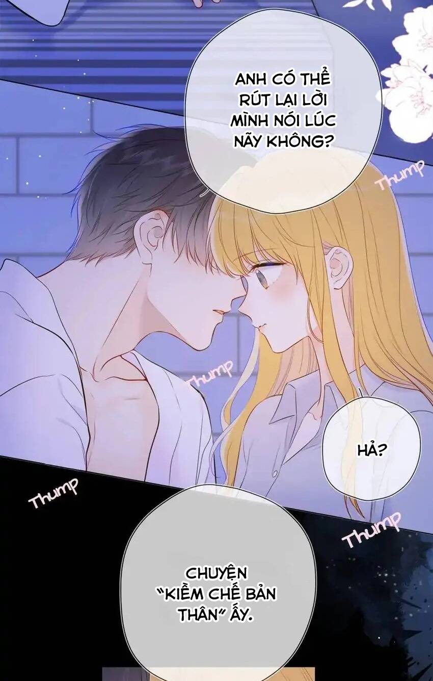 Ngôi Sao Cho Tôi Chương 138 Ảnh 35